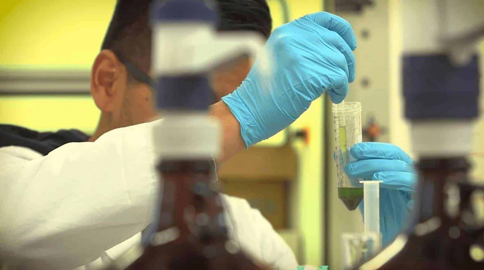 A Lack of Transparency Harms The CBD Industry
