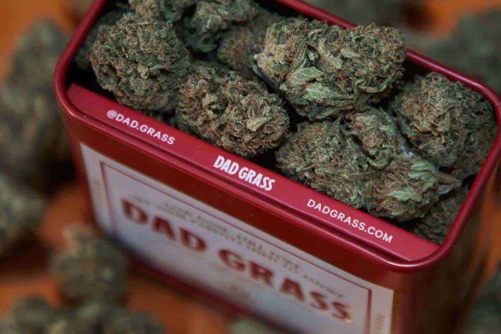 Real Tested CBD Reviews: Top 5 Hemp Strains