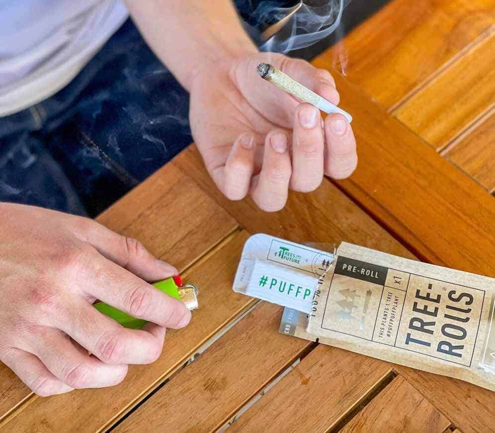 Tree-Rolls – Real Tested CBD Top Picks Brand Feature