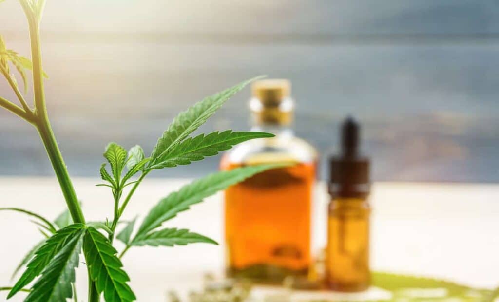 Real Tested CBD Reviews: Top 5 CBD Oils of 2021