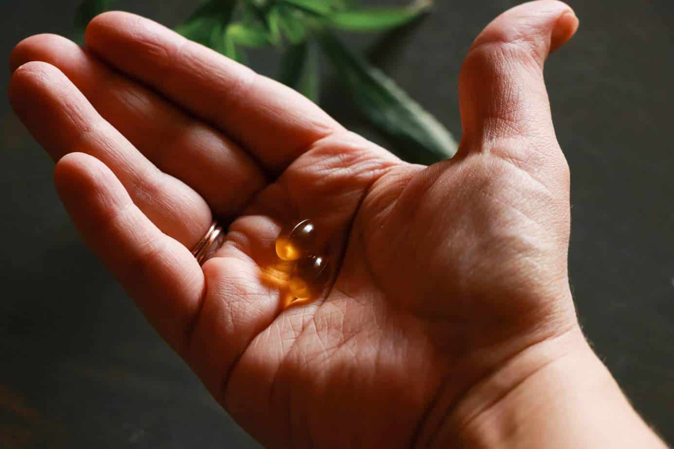 Is ‘PureKana CBD’ Legit? – A Real Tested CBD Brand Spotlight Review