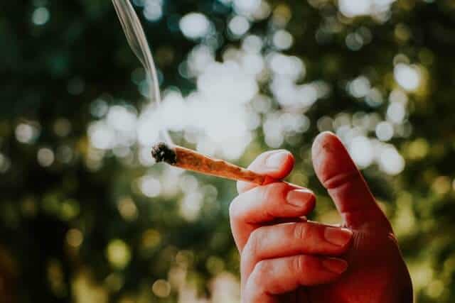 Top 3 Lab Tested Delta-8 Joints – Real Tested CBD Reviews