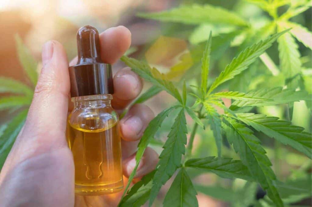 Is CBD American Shaman Legit? – An American Shaman CBD Brand Spotlight