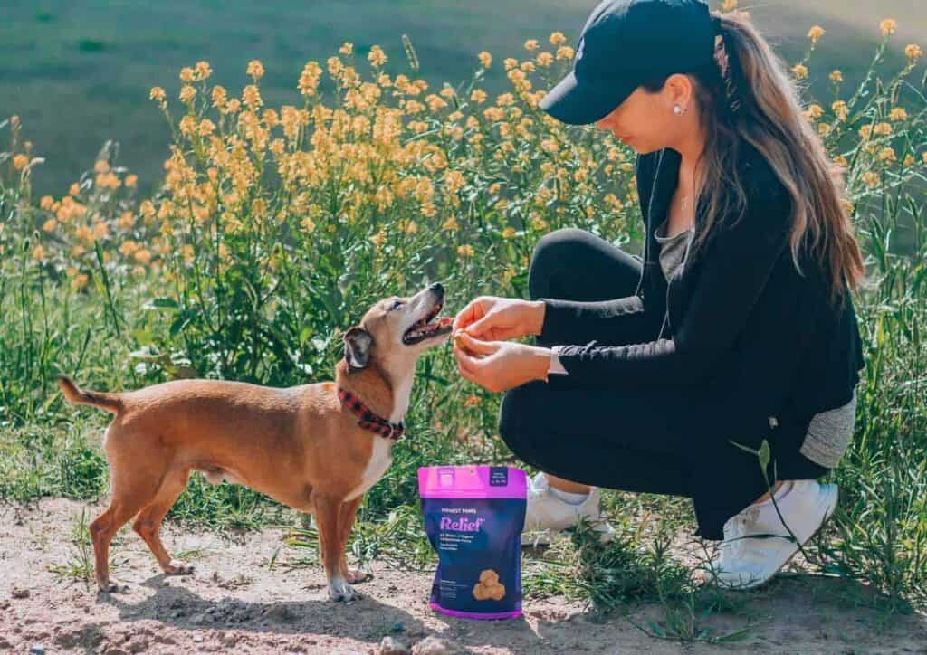 Real Tested CBD Reviews: Top 5 CBD Pet Treats