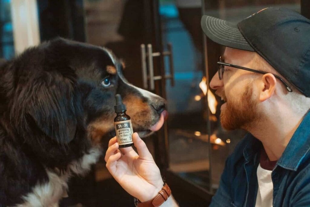 CBD for Pets: Does It Work?