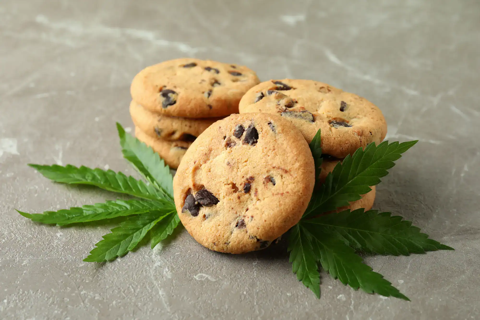 Cookie Policy