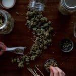 What Makes Chronic Cannabis a Top Strain Choice?