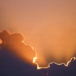 How to Use Metal Halide Lights for Optimal Cannabis Flower Development