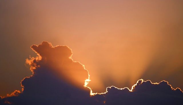 How to Use Metal Halide Lights for Optimal Cannabis Flower Development
